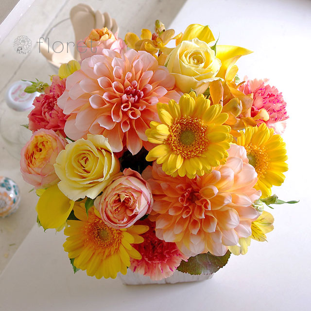 新着ガーベラ 花束 おしゃれ 最高の壁紙hd