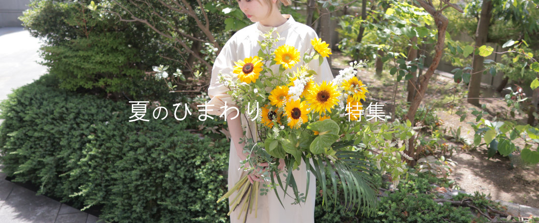 夏のひまわり特集