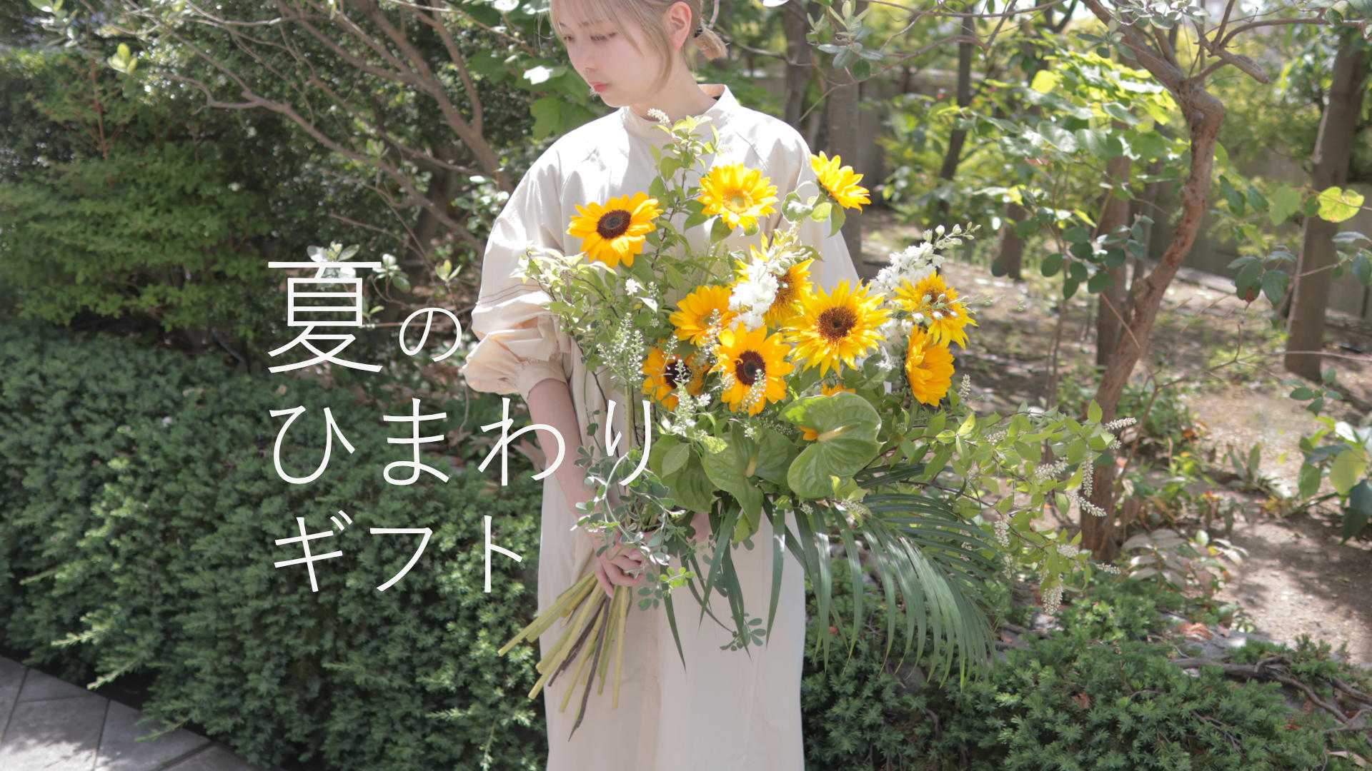夏のひまわり特集