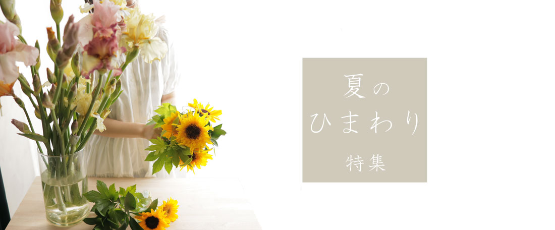 夏のひまわり特集